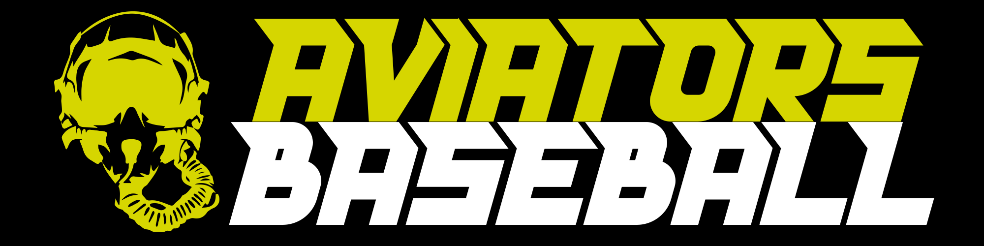 AVIATORS BASEBALL
